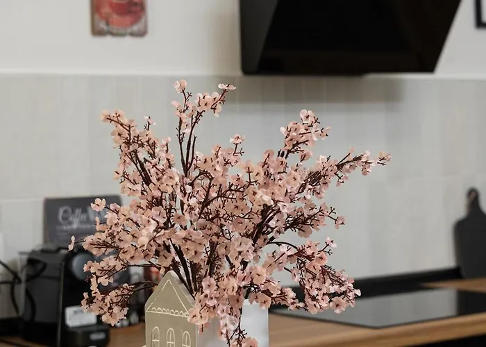 公寓 Olympou Comfy Center *