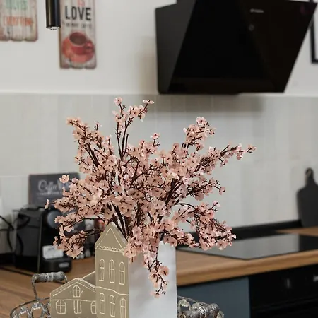 アパート Olympou Comfy Center *